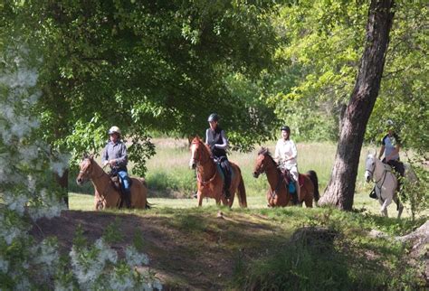 Distance Riding .